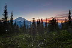 Mount Rainier Photography